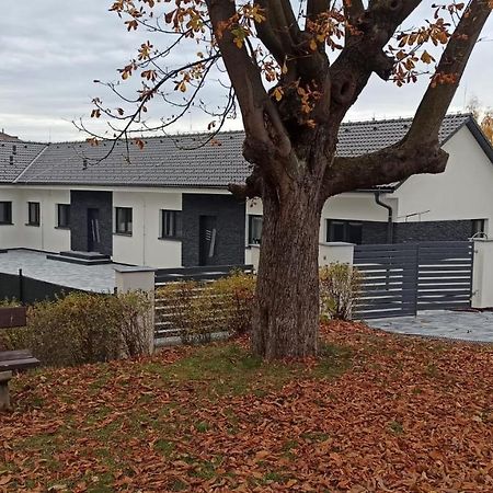 Apartmany Volavka 1 Planá nad Lužnicí Eksteriør bilde